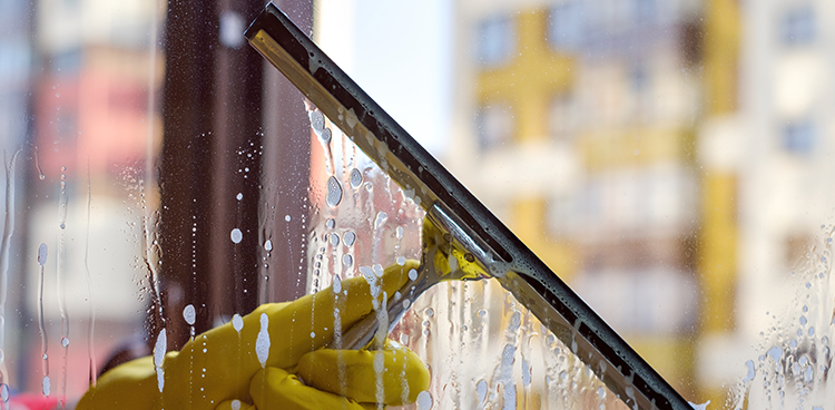 Sunnyside Soft Wash|Driveway Cleaning Naples Florida
