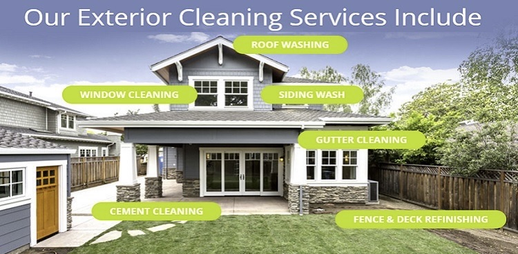 Sunnyside Soft Wash|Services