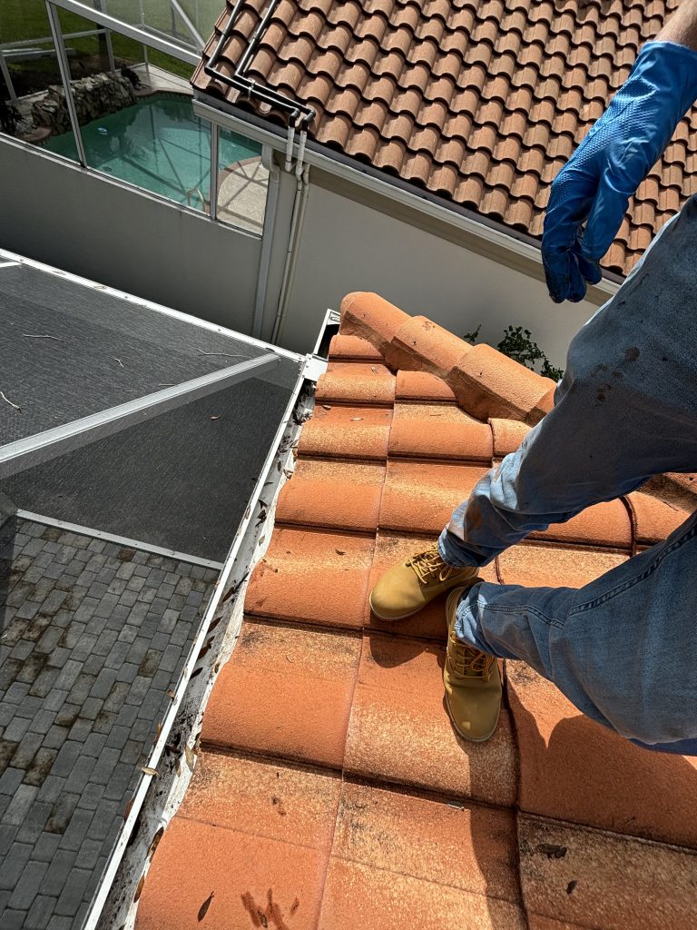 Sunnyside Soft Wash|Soft House Washing in Naples, Florida